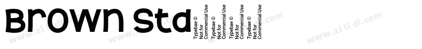 Brown Std字体转换